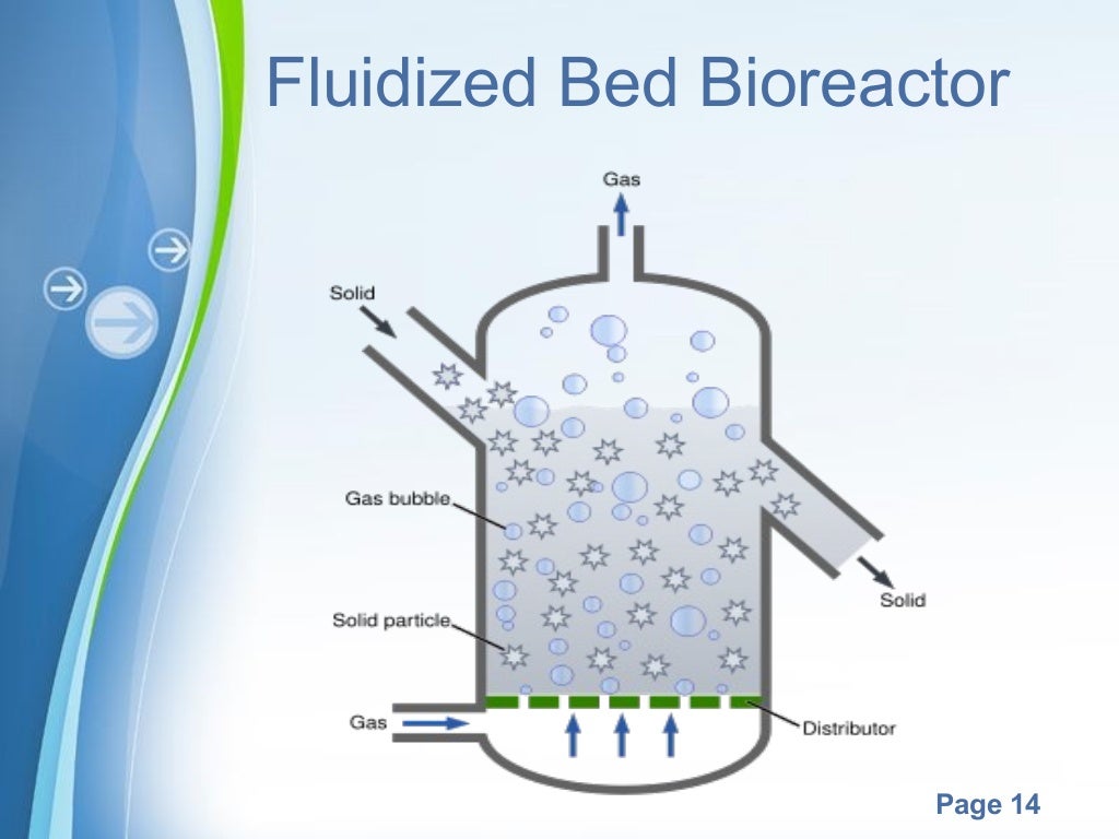 Types of Bioreactors / Fermenters