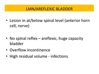types of bladder final Dr Tarun.pptx