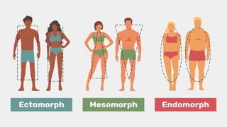 TypesOfBody. P.E.pdf secondary major P.E