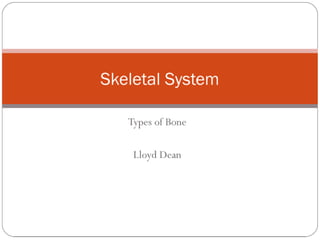 Types of bone