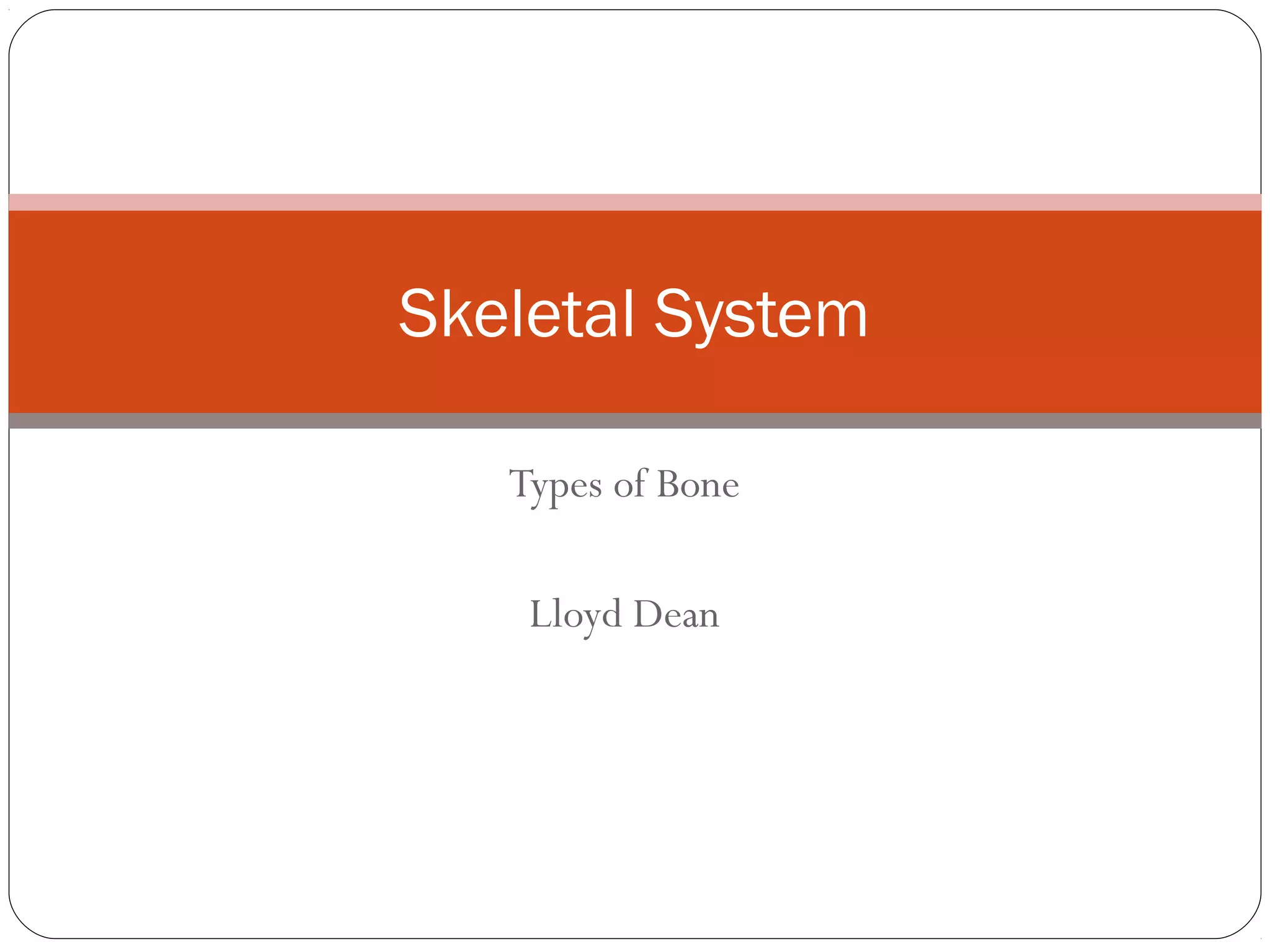 Types of bone | PPT