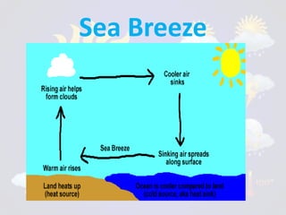 Sea Breeze
 