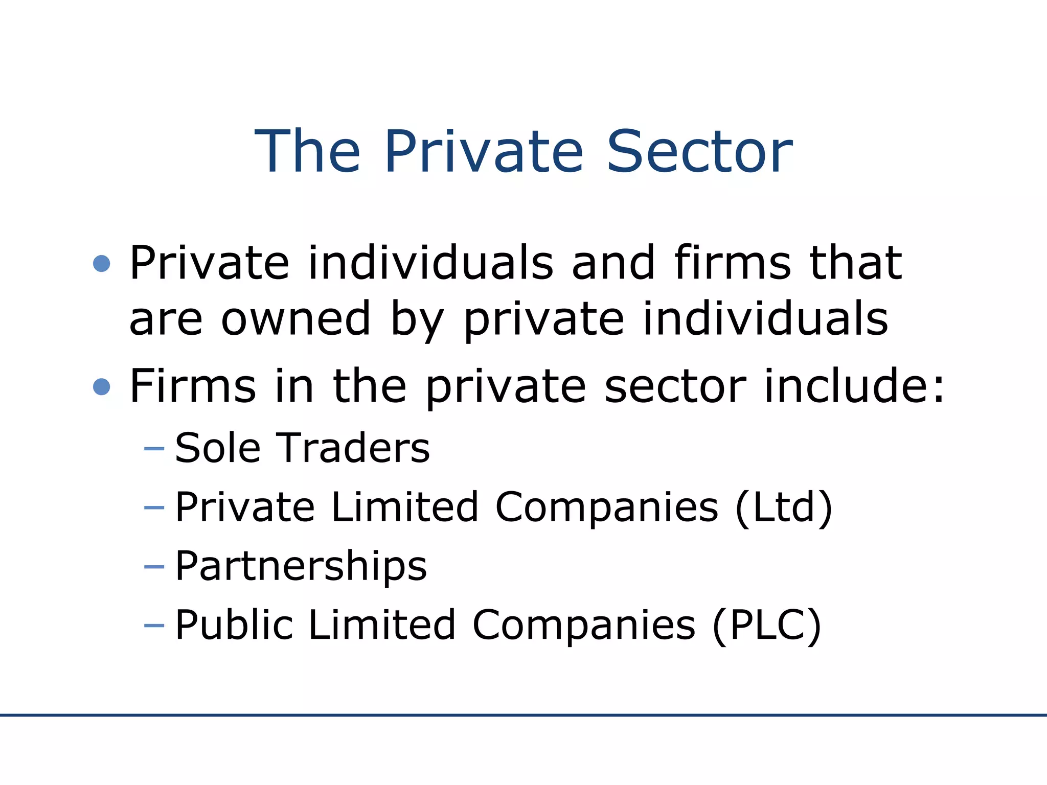 The Private Sector Private individuals and firms that are owned by private individuals Firms in the private sector include: Sole Traders Private Limited Companies (Ltd) Partnerships Public Limited Companies (PLC)
