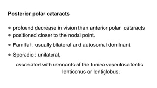 Posterior polar cataracts
● profound decrease in vision than anterior polar cataracts
● positioned closer to the nodal point.
● Familial : usually bilateral and autosomal dominant.
● Sporadic : unilateral,
associated with remnants of the tunica vasculosa lentis
lenticonus or lentiglobus.
 
