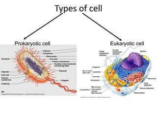 Types of cell
Prokaryotic cell Eukaryotic cell
 