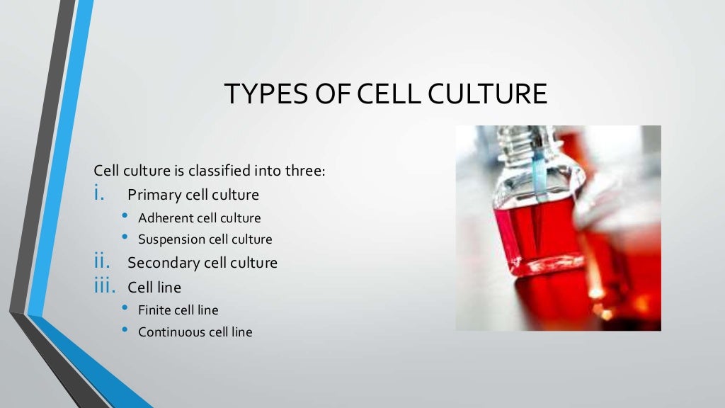 Types of cell culture