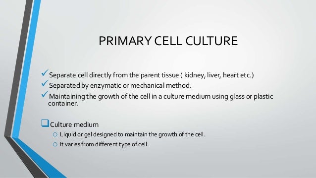 Types of cell culture