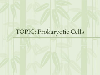 TOPIC: Prokaryotic Cells
 
