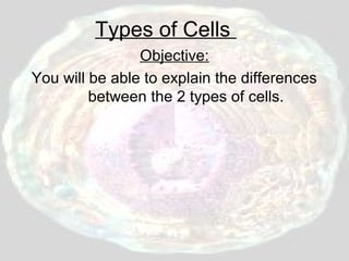 Types of Cells
Objective:
You will be able to explain the differences
between the 2 types of cells.

 