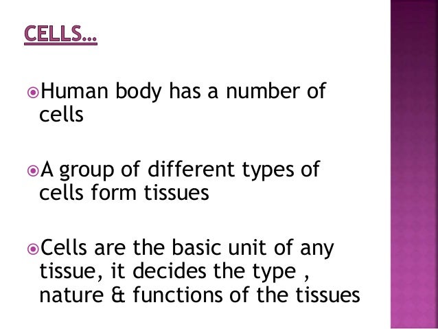 type of cells