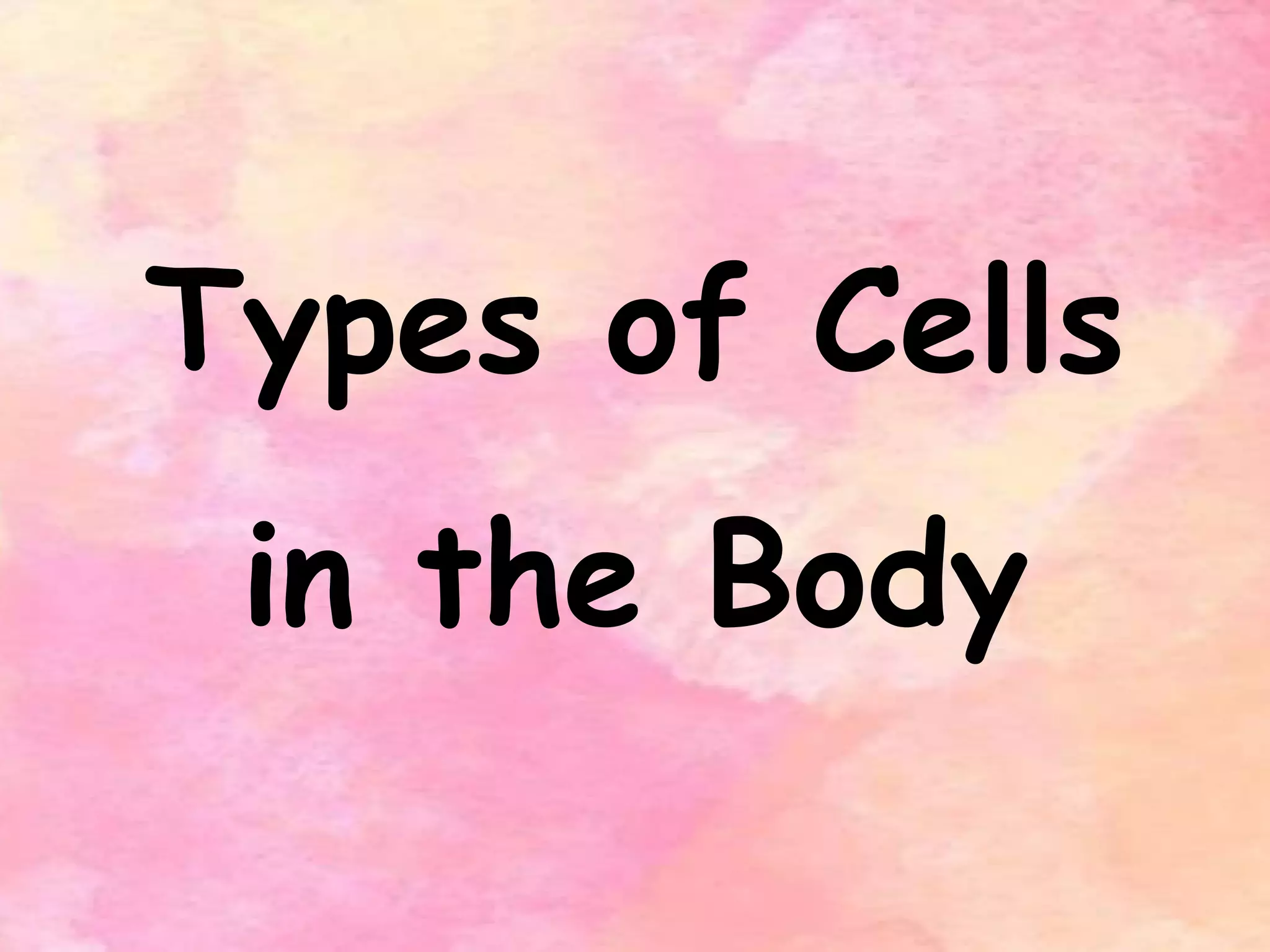 Types of Cells in the Body PPT