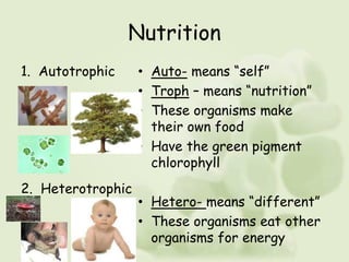 Nutrition
1. Autotrophic
2. Heterotrophic
• Auto- means “self”
• Troph – means “nutrition”
• These organisms make
their own food
• Have the green pigment
chlorophyll
• Hetero- means “different”
• These organisms eat other
organisms for energy
 