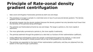 Principle of Rate-zonal density
gradient centrifugation
 Rate zonal centrifugation fractionates particles by both size and shape.
 The procedure is to layer a sample in a restricted zone on top of a pre-poured density gradient. The density
gradient is then centrifuged.
 All particles migrate into the density gradient because the density gradient has only densities much lower than
the densities of the particles being centrifuged.
 The particles are fractionated primarily by size and shape. The larger a particle is, the more rapidly it
sediments.
 The more spherically symmetrical a particle is, the more rapidly it sediments.
 The particles sediment through the gradient at a rate that is a function of their sedimentation coefficient.
 Unlike differential centrifugation where the sample is distributed throughout the medium, in rate-zonal
centrifugation, the sample is initially present only on top of the gradient as a narrow band.
 The particles are separated on the basis of their sedimentation coefficients, and they are obtained from the
bottom of the tube through a perforation.
 