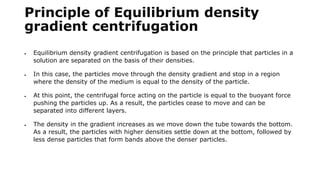 Principle of Equilibrium density
gradient centrifugation
 Equilibrium density gradient centrifugation is based on the principle that particles in a
solution are separated on the basis of their densities.
 In this case, the particles move through the density gradient and stop in a region
where the density of the medium is equal to the density of the particle.
 At this point, the centrifugal force acting on the particle is equal to the buoyant force
pushing the particles up. As a result, the particles cease to move and can be
separated into different layers.
 The density in the gradient increases as we move down the tube towards the bottom.
As a result, the particles with higher densities settle down at the bottom, followed by
less dense particles that form bands above the denser particles.
 
