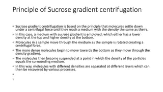 Principle of Sucrose gradient centrifugation
• Sucrose gradient centrifugation is based on the principle that molecules settle down
under a centrifugal force until they reach a medium with the density the same as theirs.
• In this case, a medium with sucrose gradient is employed, which either has a lower
density at the top and higher density at the bottom.
• Molecules in a sample move through the medium as the sample is rotated creating a
centrifugal force.
• The more dense molecules begin to move towards the bottom as they move through the
density gradient.
• The molecules then become suspended at a point in which the density of the particles
equals the surrounding medium.
• In this way, molecules with different densities are separated at different layers which can
then be recovered by various processes.
•
•
 