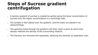 Steps of Sucrose gradient
centrifugation
 A density gradient of sucrose is created by gently laying the lower concentration of
sucrose over the higher concentrations in a centrifuge tube.
 The sample is then placed over the gradient, and the tubes are placed in an
ultracentrifuge.
 The particles travel through the gradient until they reach a point at which their
density matches the density of the surrounding medium.
 The fractions are removed and separated, obtaining the particles as separated units.
 