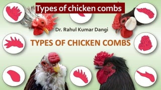 Types of chicken combs
Dr. Rahul Kumar Dangi
Dr. Rahul Dangi
 