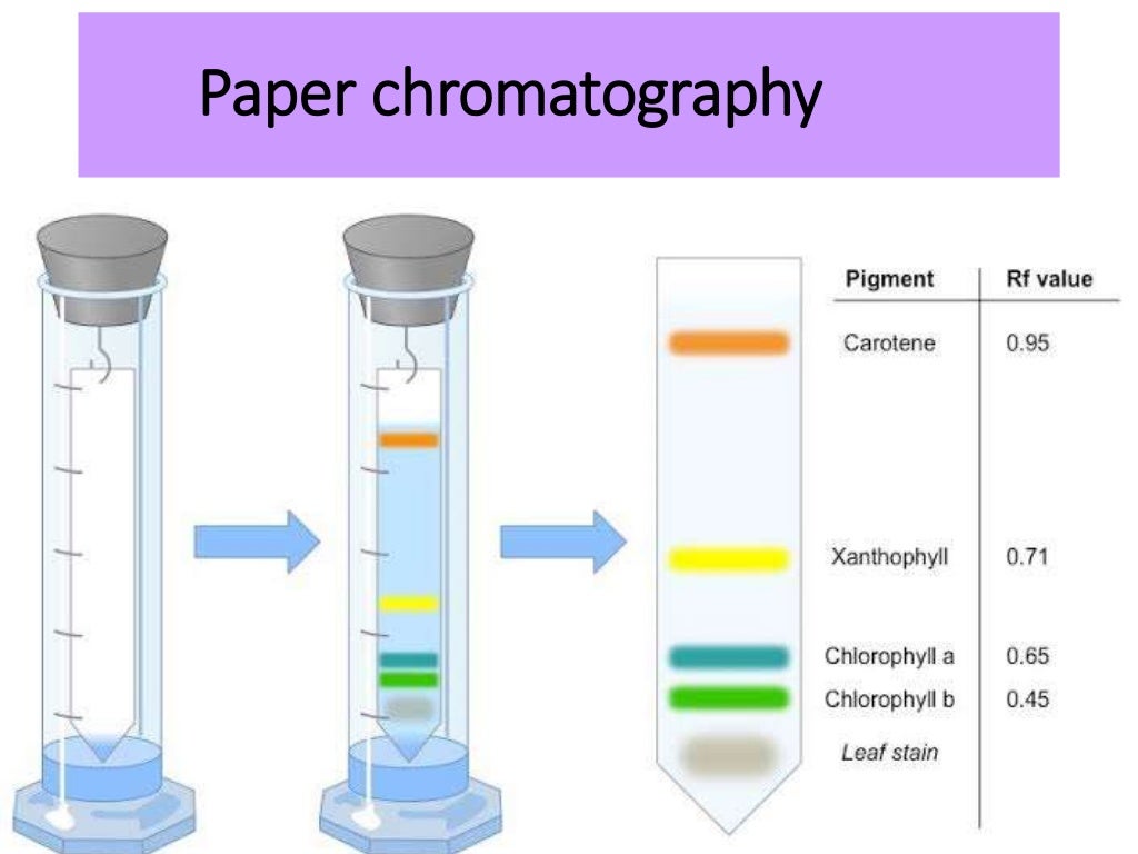 Types of chromatography