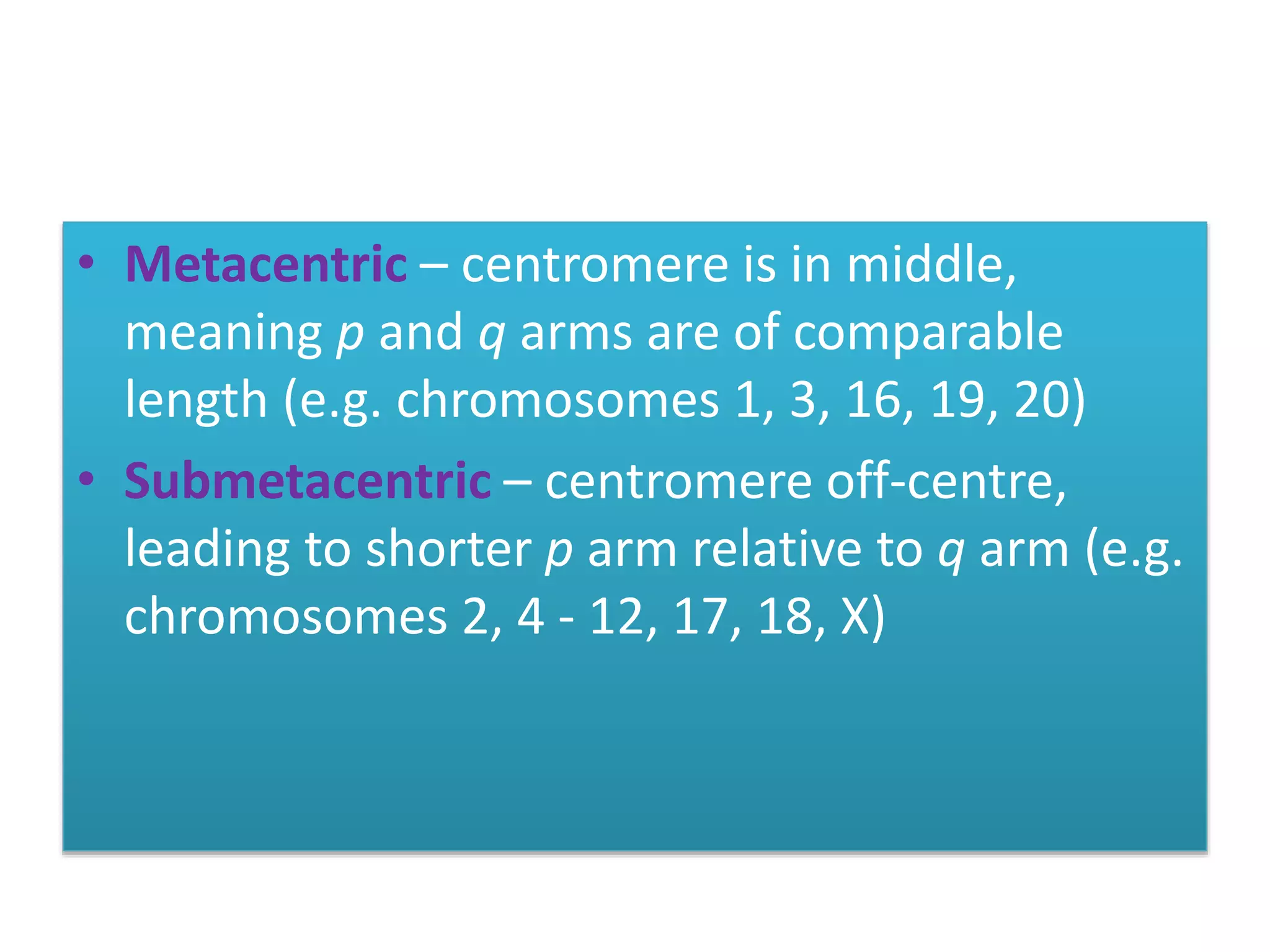 • Metacentric – centromere is in middle,
meaning p and q arms are of comparable
length (e.g. chromosomes 1, 3, 16, 19, 20)
• Submetacentric – centromere off-centre,
leading to shorter p arm relative to q arm (e.g.
chromosomes 2, 4 - 12, 17, 18, X)
 