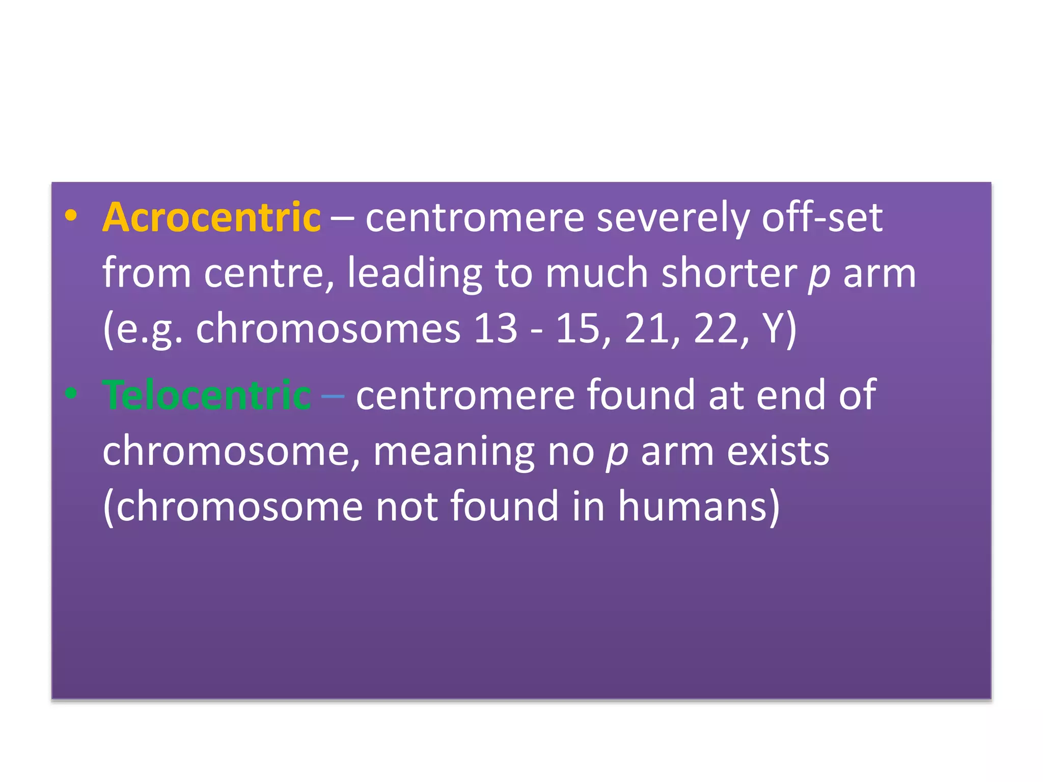 • Acrocentric – centromere severely off-set
from centre, leading to much shorter p arm
(e.g. chromosomes 13 - 15, 21, 22, Y)
• Telocentric – centromere found at end of
chromosome, meaning no p arm exists
(chromosome not found in humans)
 