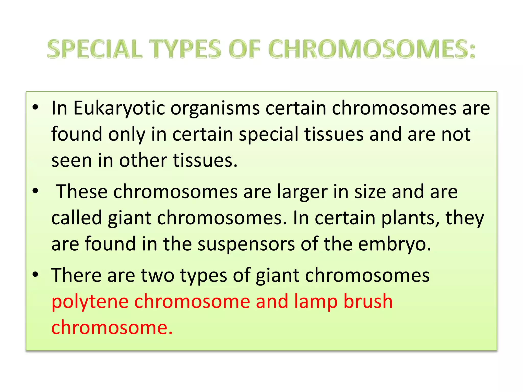 • In Eukaryotic organisms certain chromosomes are
found only in certain special tissues and are not
seen in other tissues.
• These chromosomes are larger in size and are
called giant chromosomes. In certain plants, they
are found in the suspensors of the embryo.
• There are two types of giant chromosomes
polytene chromosome and lamp brush
chromosome.
 