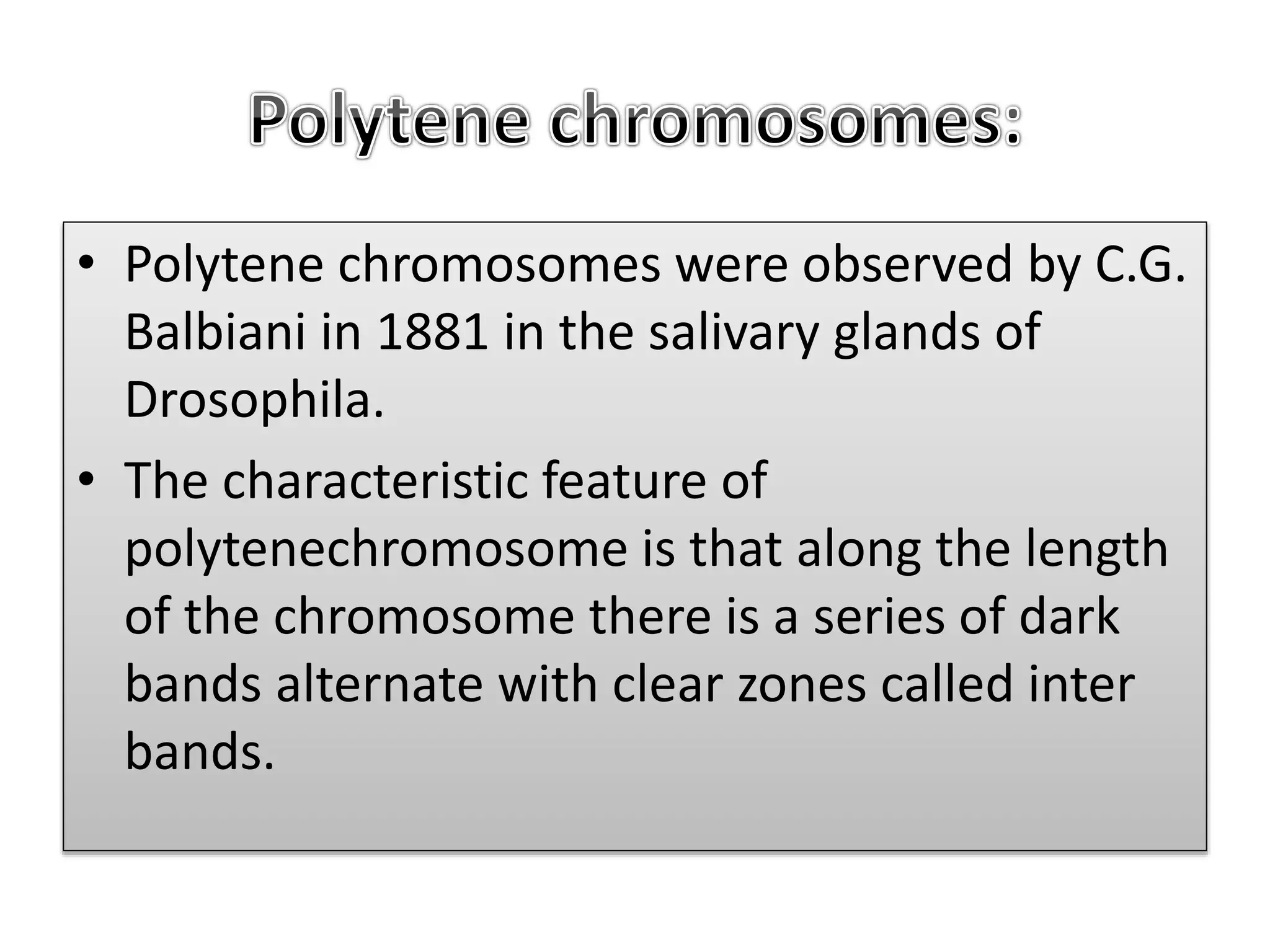 • Polytene chromosomes were observed by C.G.
Balbiani in 1881 in the salivary glands of
Drosophila.
• The characteristic feature of
polytenechromosome is that along the length
of the chromosome there is a series of dark
bands alternate with clear zones called inter
bands.
 