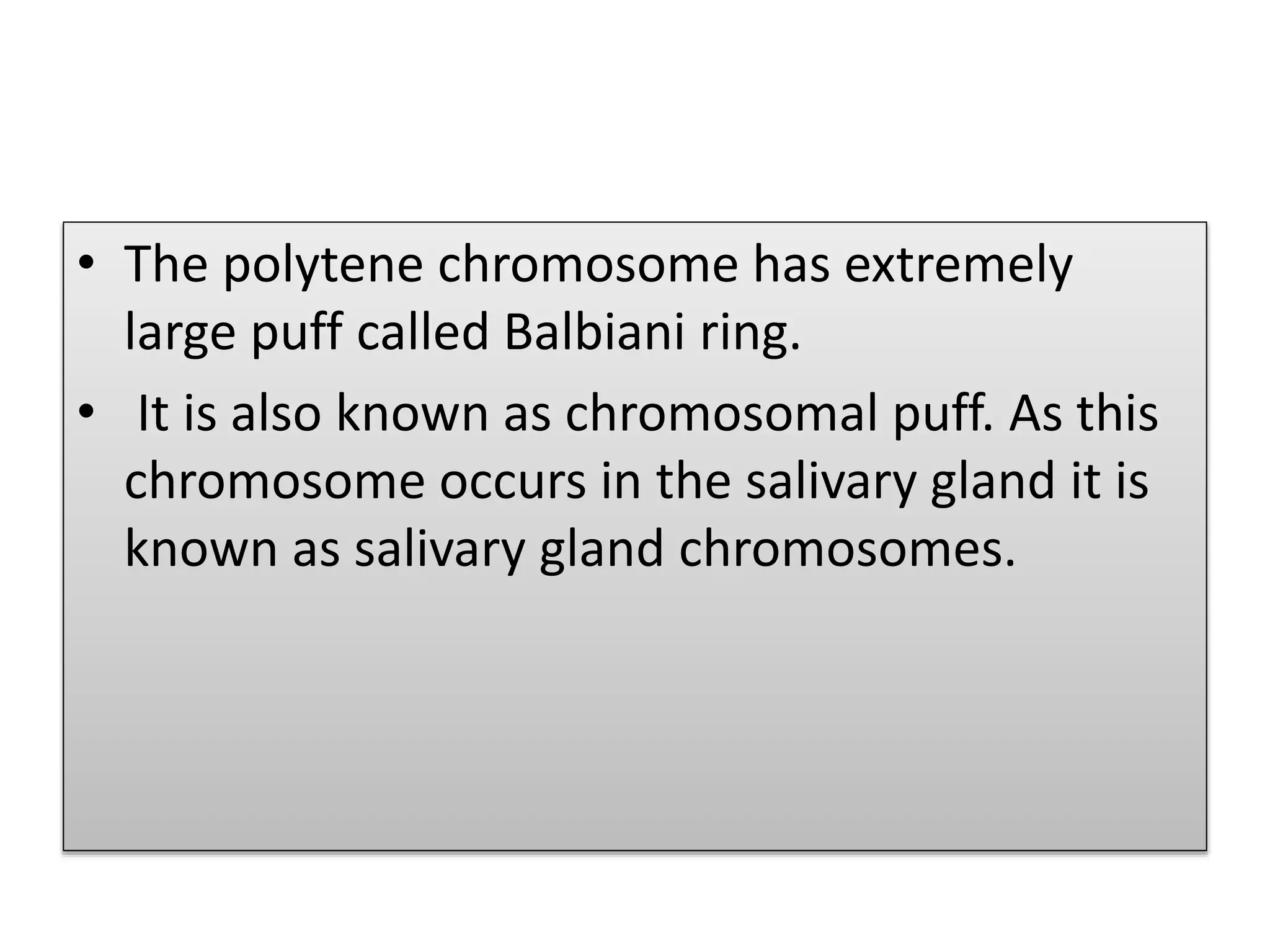• The polytene chromosome has extremely
large puff called Balbiani ring.
• It is also known as chromosomal puff. As this
chromosome occurs in the salivary gland it is
known as salivary gland chromosomes.
 