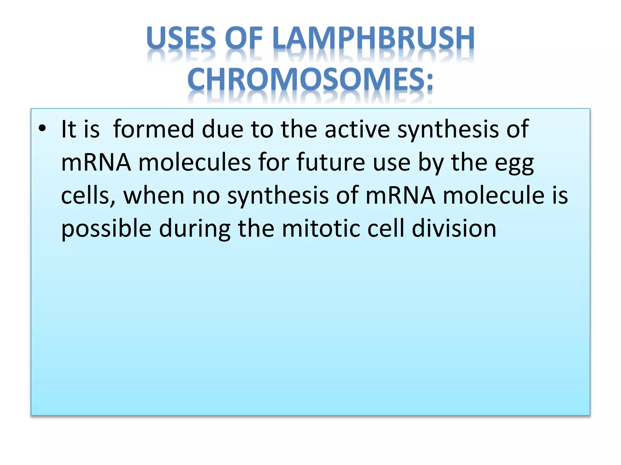 USES OF LAMPHBRUSH
CHROMOSOMES:
• It is formed due to the active synthesis of
mRNA molecules for future use by the egg
cells, when no synthesis of mRNA molecule is
possible during the mitotic cell division
 