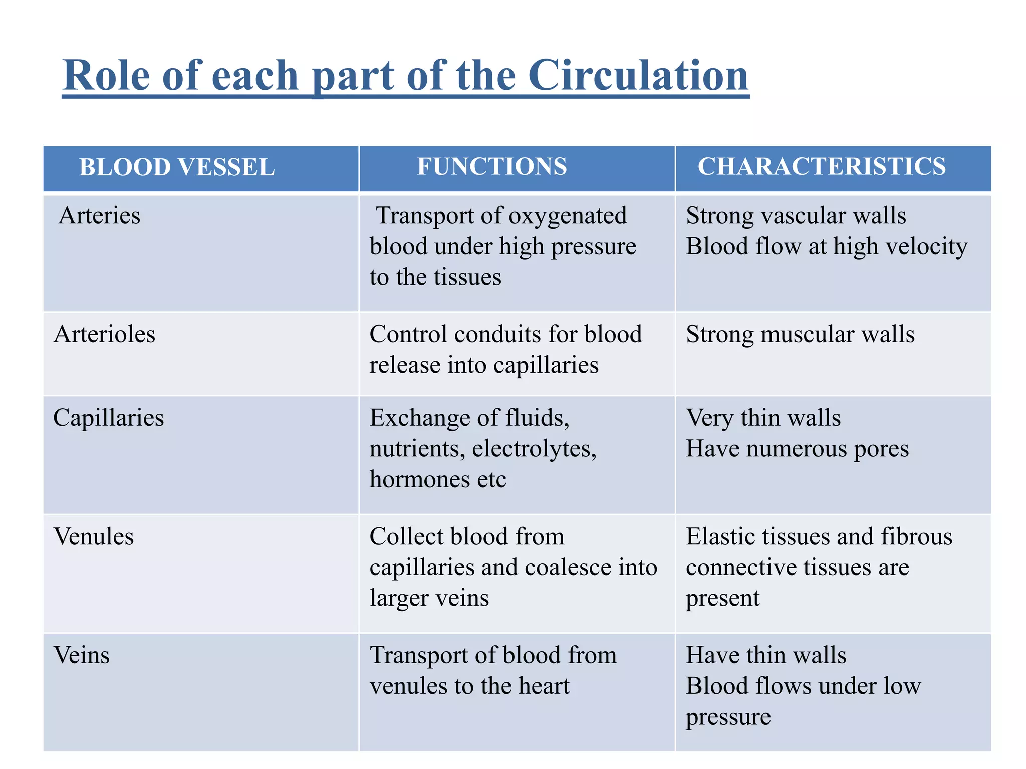 Types of circulation | PPT