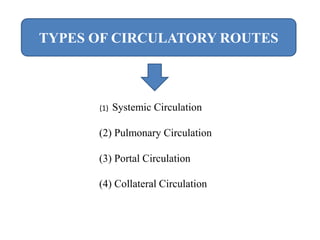 Types of circulation | PPT