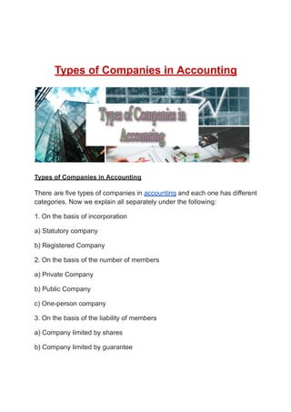 Types of Companies in Accounting.pdf
