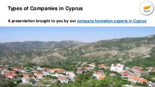 Types of Companies in Cyprus
A presentation brought to you by our company formation experts in Cyprus
1
 