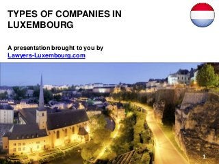 TYPES OF COMPANIES IN
LUXEMBOURG
A presentation brought to you by
Lawyers-Luxembourg.com
1
 