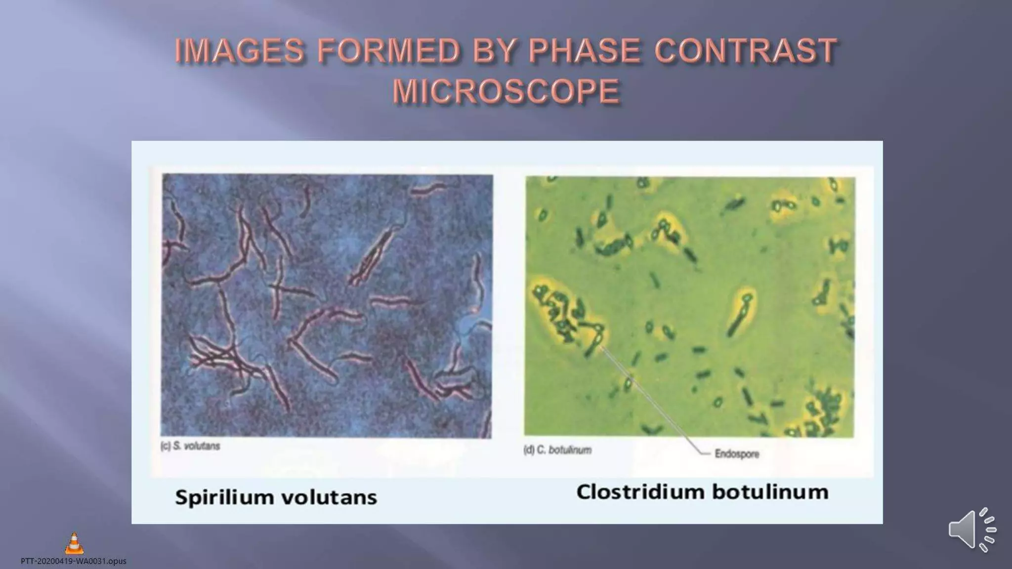 Types of compound microscope | PPTX