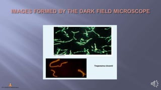 Compound Microscope Varieties Types of compound microscope | PPTX