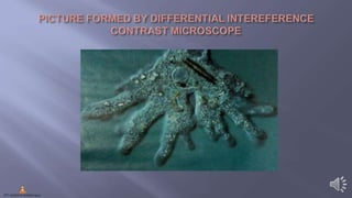 Compound Microscope Varieties Types of compound microscope | PPTX
