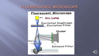 Types of compound microscope | PPTX