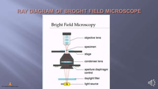 Types of compound microscope | PPTX