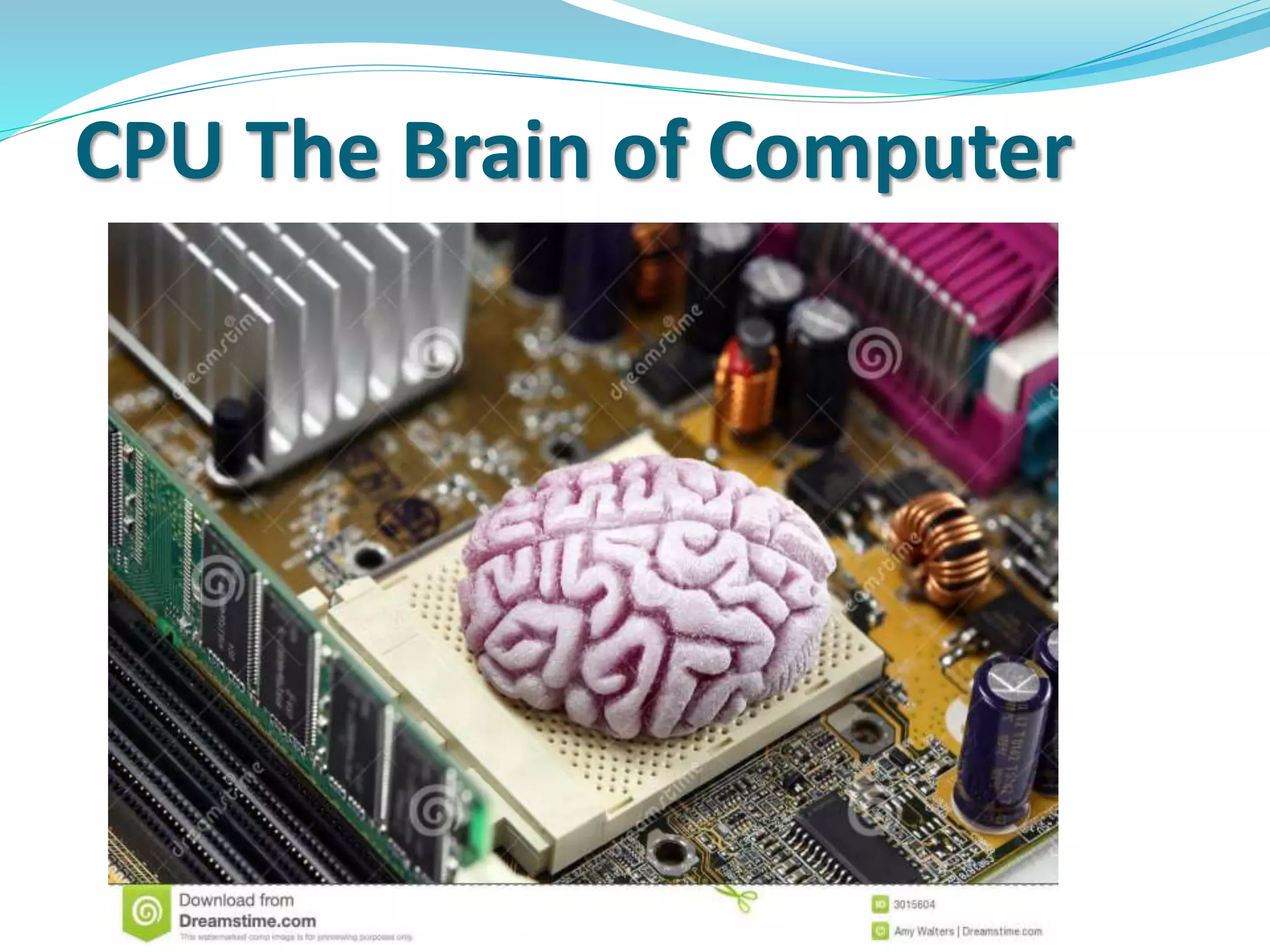 CPU The Brain of Computer
 