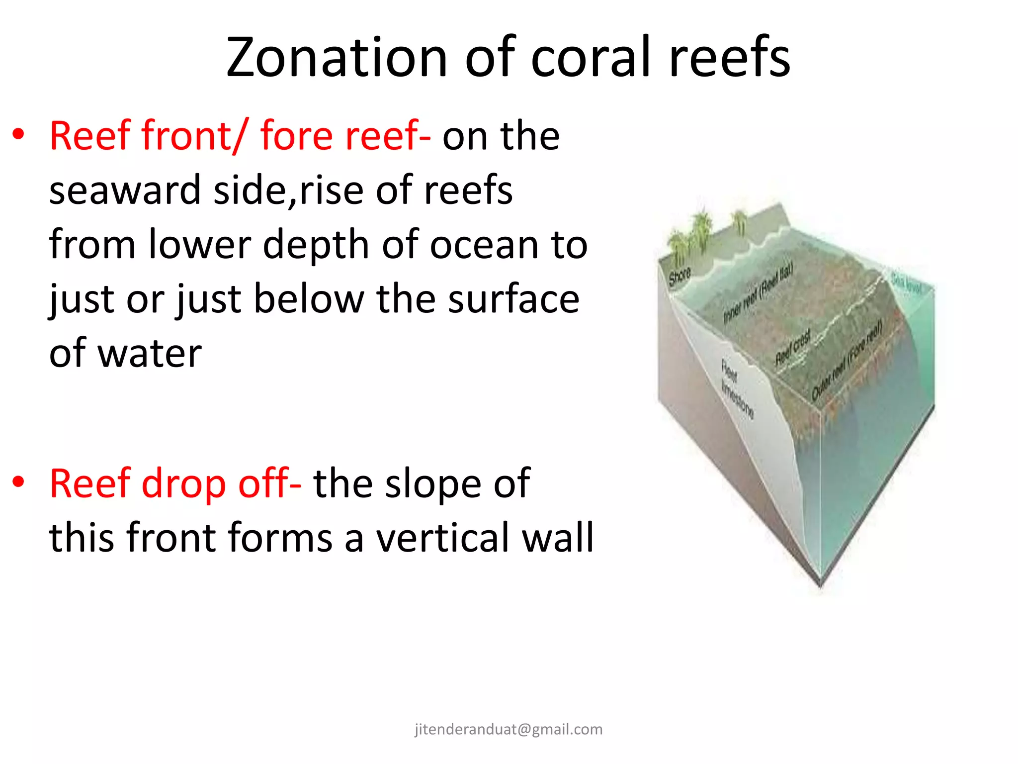 Zonation of coral reefs
• Reef front/ fore reef- on the
seaward side,rise of reefs
from lower depth of ocean to
just or just below the surface
of water
• Reef drop off- the slope of
this front forms a vertical wall
jitenderanduat@gmail.com
 