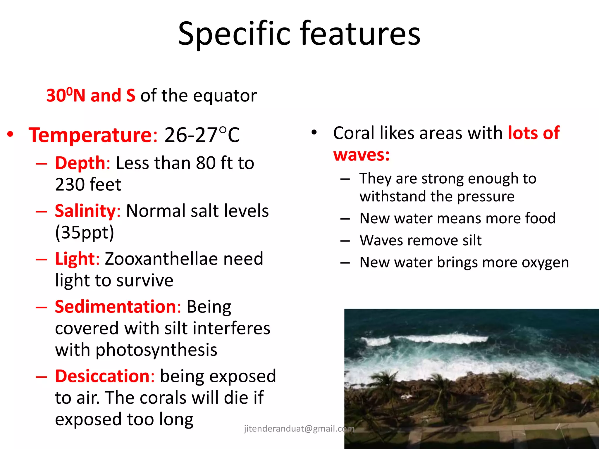 Specific features
• Temperature: 26-27C
– Depth: Less than 80 ft to
230 feet
– Salinity: Normal salt levels
(35ppt)
– Light: Zooxanthellae need
light to survive
– Sedimentation: Being
covered with silt interferes
with photosynthesis
– Desiccation: being exposed
to air. The corals will die if
exposed too long
• Coral likes areas with lots of
waves:
– They are strong enough to
withstand the pressure
– New water means more food
– Waves remove silt
– New water brings more oxygen
300N and S of the equator
jitenderanduat@gmail.com
 