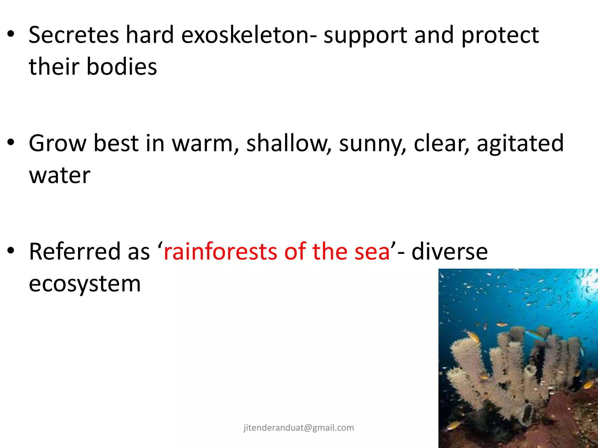 • Secretes hard exoskeleton- support and protect
their bodies
• Grow best in warm, shallow, sunny, clear, agitated
water
• Referred as ‘rainforests of the sea’- diverse
ecosystem
jitenderanduat@gmail.com
 
