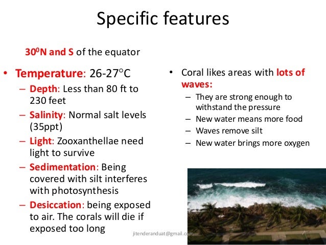 the main characteristics of coral reefs Threats to coral reefs despite many corals’ rock – like appearance, they are actually very fragile and easily damaged by both direct and indirect threats. the main characteristics of coral reefs Threats to coral reefs despite many corals’ rock – like appearance, they are actually very fragile and easily damaged by both direct and indirect threats.