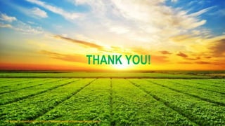 THANK YOU!
© Aviyal Presentations : https://aviyalpresentations.wordpress.com/
 