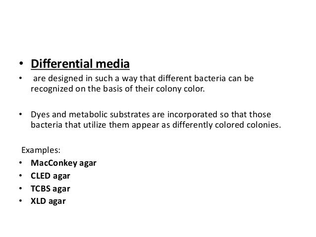 Types of culture media