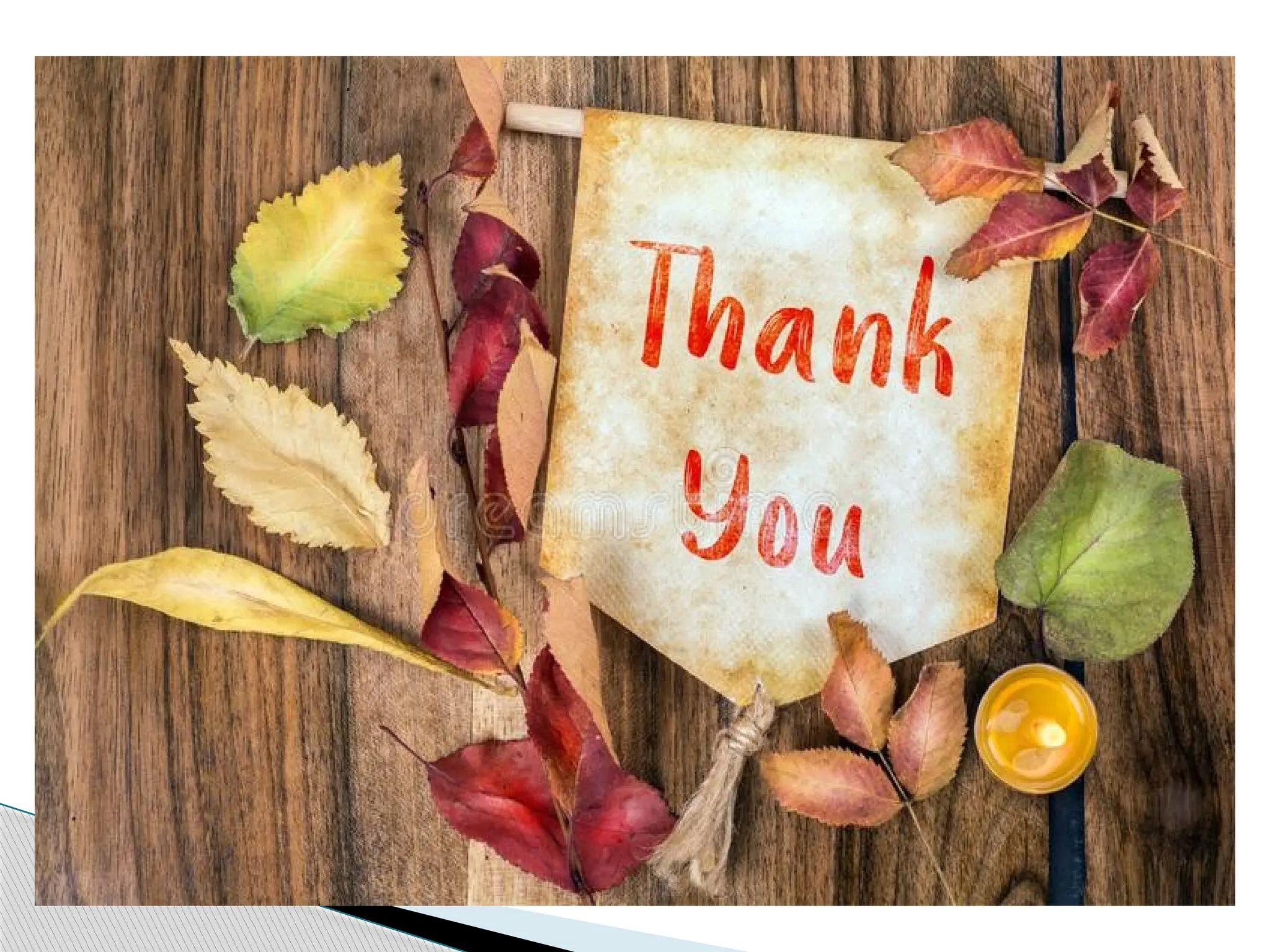 Types  of Data variables and objectivess