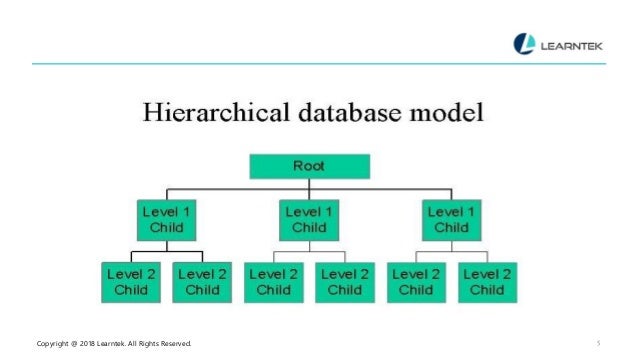 Types of data bases