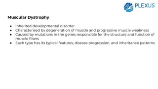 Muscular Dystrophy
● Inherited developmental disorder
● Characterised by degeneration of muscle and progressive muscle weakness
● Caused by mutations in the genes responsible for the structure and function of
muscle fibers
● Each type has its typical features, disease progression, and inheritance patterns
 