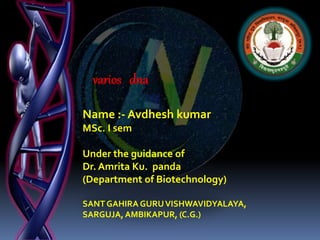 varios dna
Name :- Avdhesh kumar
MSc. I sem
Under the guidance of
Dr. Amrita Ku. panda
(Department of Biotechnology)
SANT GAHIRA GURUVISHWAVIDYALAYA,
SARGUJA, AMBIKAPUR, (C.G.)
 
