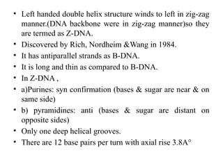 Confirmation Base Comprehensive Overview of DNA and RNA Types and Structures | PPTX